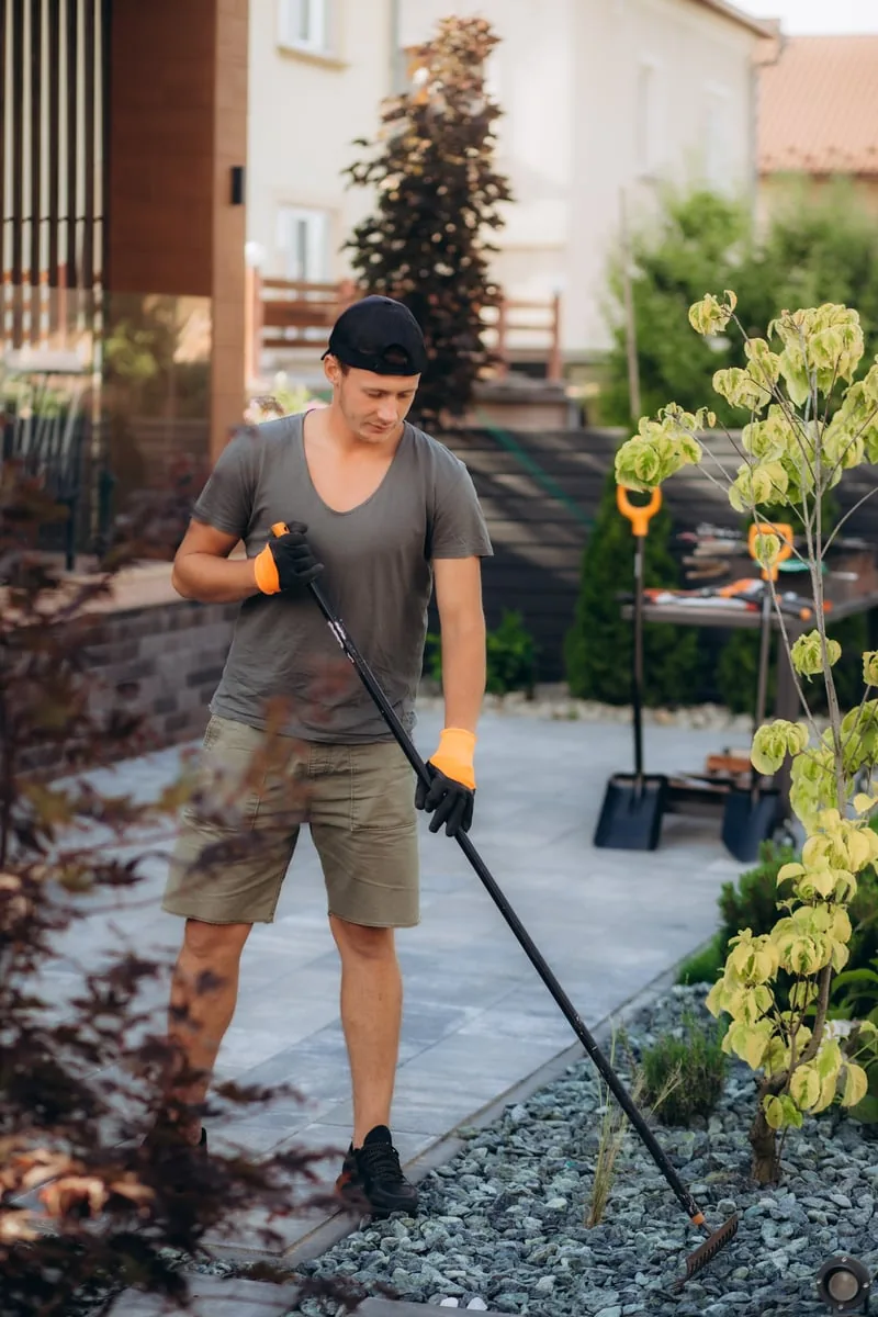 Spring & Fall Cleanups