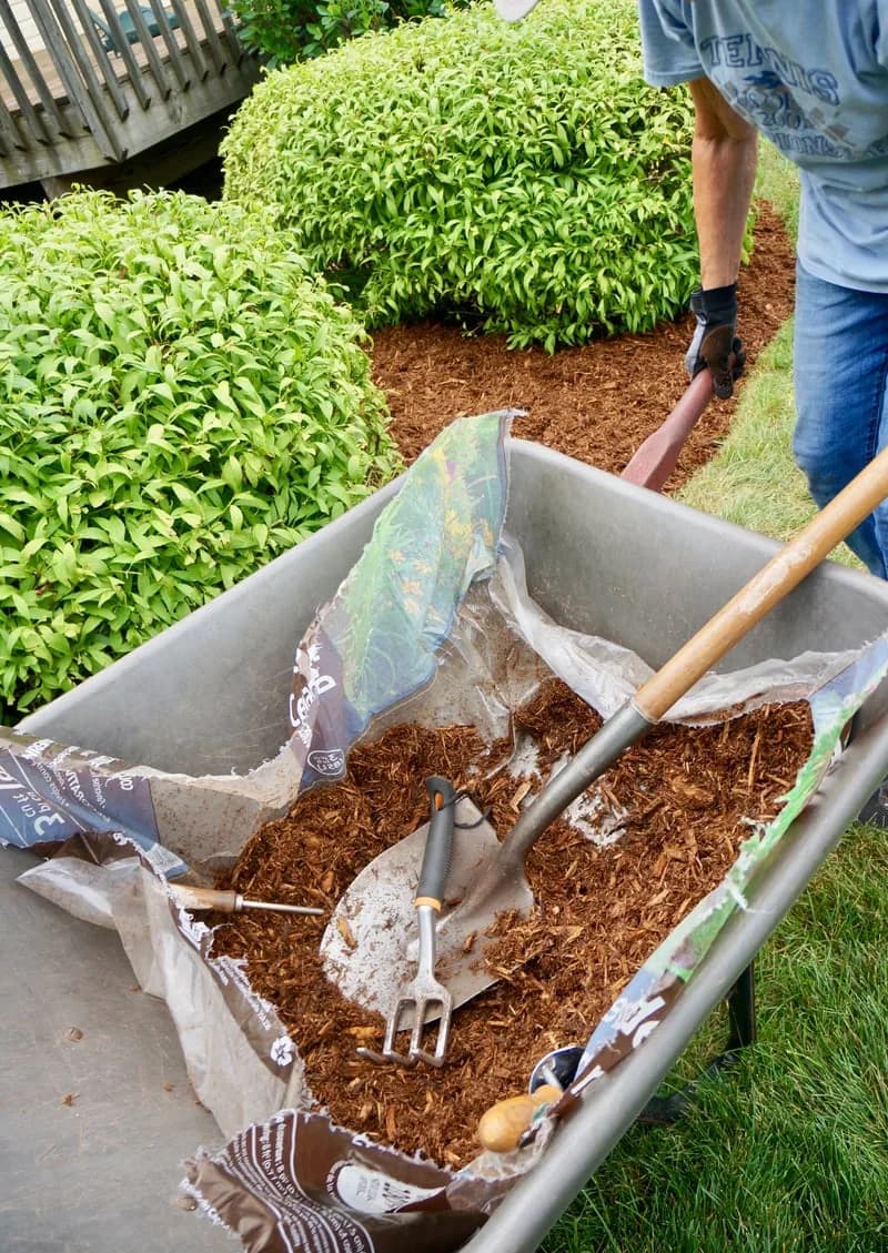 Mulch & Black Dirt